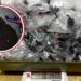 Gendarmería detuvo a una mujer con más de 250 dosis de cocaína en Puerto San Martín