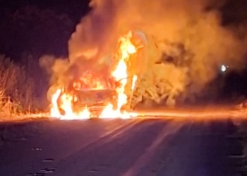 Otro auto quemado en la región: se incendió un Renault Logan en Bdo de Irigoyen