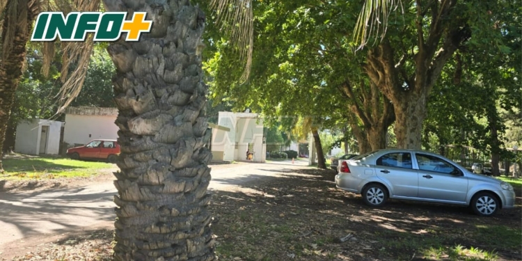 Advierten por la pérdida de puestos de trabajo en la Colonia Psiquiátrica de Oliveros