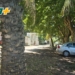 Advierten por la pérdida de puestos de trabajo en la Colonia Psiquiátrica de Oliveros