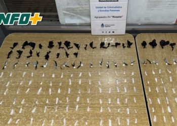 Detuvieron a un joven con 182 dosis de cocaína en un descampado de San Lorenzo