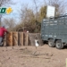 Triquinosis en la región: intervinieron un criadero de cerdos en Ibarlucea y retiraron todos los animales