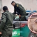 Rescataron a un puma que apareció en una vivienda de la región
