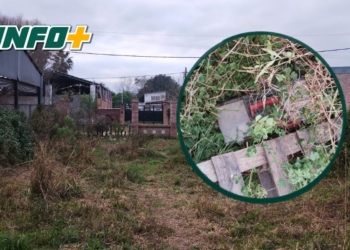 Gaboto: entraron a un galpón, se llevaron herramientas y abandonaron parte del botín