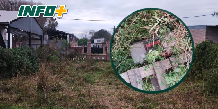 Gaboto: entraron a un galpón, se llevaron herramientas y abandonaron parte del botín