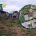 Gaboto: entraron a un galpón, se llevaron herramientas y abandonaron parte del botín