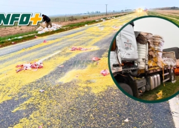 Dos camiones protagonizaron un accidente entre Totoras y Clason: un chofer fue hospitalizado