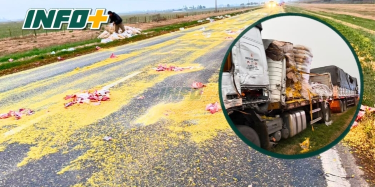 Dos camiones protagonizaron un accidente entre Totoras y Clason: un chofer fue hospitalizado