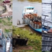 Ya funciona el nuevo corral para el traslado de ganado en Gaboto y avanza con el ordenamiento de su zona costera