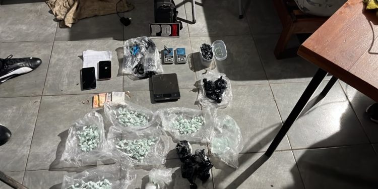 La PDI desarticuló una red de narcomenudeo: dos detenidas, cocaína, marihuana, municiones y vehículos secuestrados