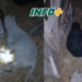 Hallaron corderos y un chivo atados y ocultos para ser sustraídos