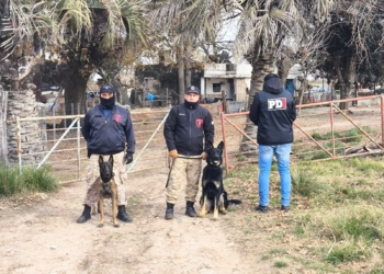 Así fue cómo los perros de bomberos hallaron a Gastón Montenegro en Serodino