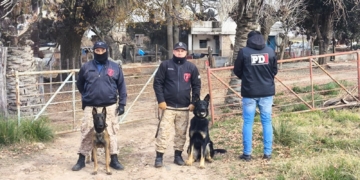Así fue cómo los perros de la PDI hallaron a Gastón Montenegro en Serodino