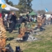 Pueblo Andino se prepara para la 3ra edición de “Vacío al Llama”