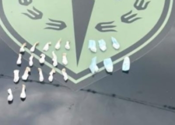 Dos jóvenes detenidos en San Lorenzo con 23 envoltorios de cocaína