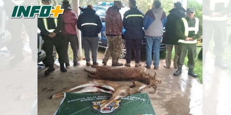 Faenaron a dos ciervos axis en la isla frente a Monje: seis cazadores sancionados