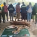 Faenaron a dos ciervos axis en la isla frente a Monje: seis cazadores sancionados