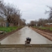 Pueblo Andino inició una histórica obra de pavimentación de calles en el polo educativo