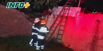 Subió al techo para rescatar a su gato, sufrió un ataque de pánico y debieron rescatarla