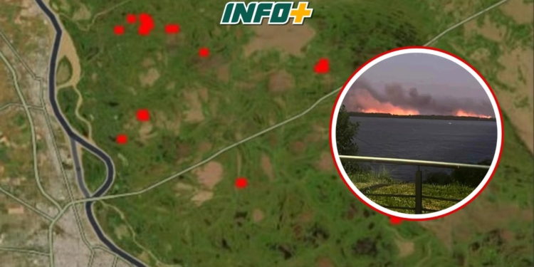 Volvieron los incendios a las islas frente a la región: el humo y los puntos críticos