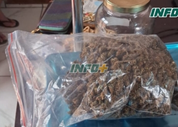 Allanamientos en Gaboto: droga, armas y 4 detenidos por microtráfico