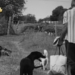Dolor por la muerte del rescatista Edgardo Acosta: «Gracias por haber dedicado tu vida a los animales»