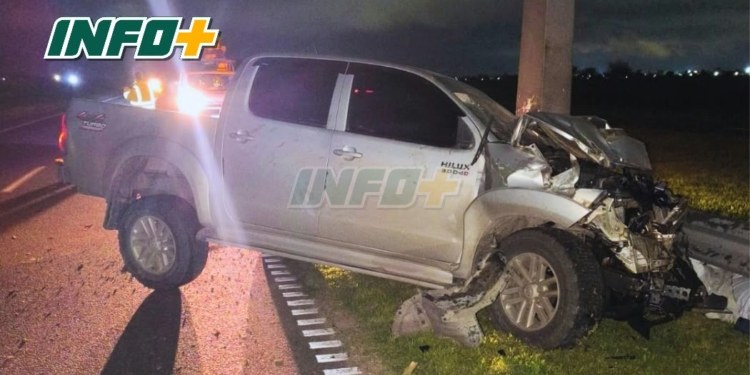 Una camioneta impactó contra un caballo sobre autopista: el conductor resultó herido y el animal murió