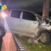 Una camioneta impactó contra un caballo sobre autopista: el conductor resultó herido y el animal murió