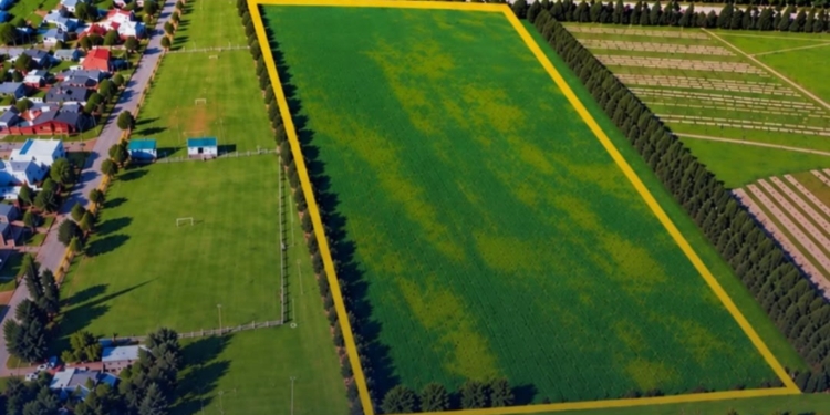 Boca de Serodino adquirió un predio de 32.000 metros cuadrados para proyectar su crecimiento