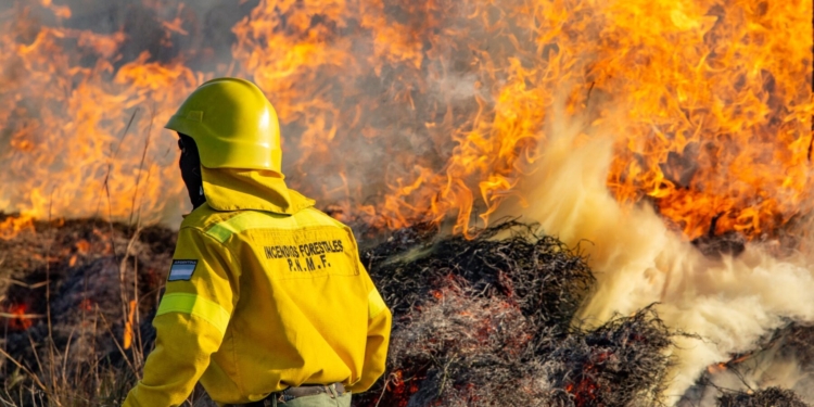 Curso inicial para combatientes de incendios forestales en el Parque Nacional Islas de Santa Fe