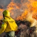 Curso inicial para combatientes de incendios forestales en el Parque Nacional Islas de Santa Fe